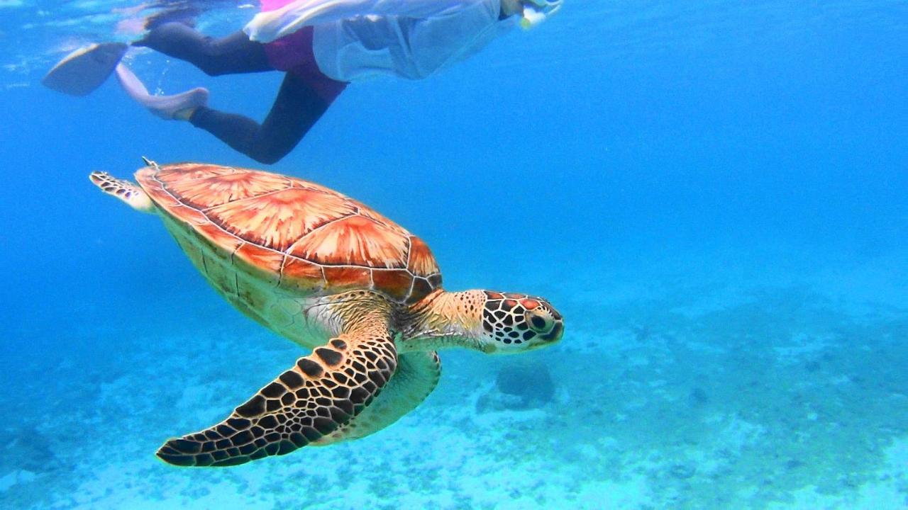 Hotel Hibiscus Miyakojima  Eksteriør bilde